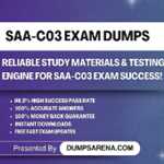SAA-C03 Exam Dumps 